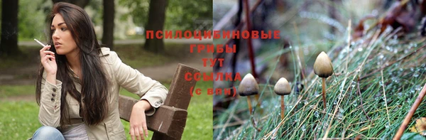 a pvp Козловка