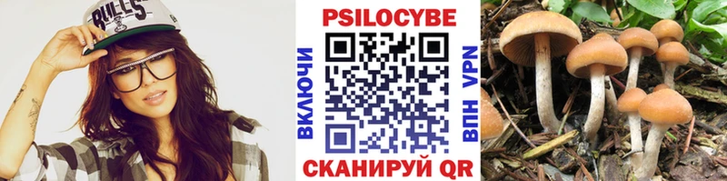 Купить где  Инта  Галлюциногенные грибы GOLDEN TEACHER 